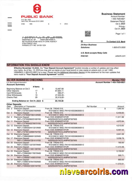 PUBLIC Bank bank statement